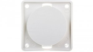 Berker Integro/Flow/Classic/Pure Zaślepka śnieżnobiała 945162509