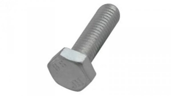 BIS Śruba z łbem sześciokątnym M10x30mm 6143930