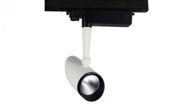 Projektor LED Mezo szyna 3 fazy 15W CW