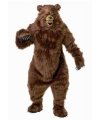 Strój misia Grizzly dla dorosłych.