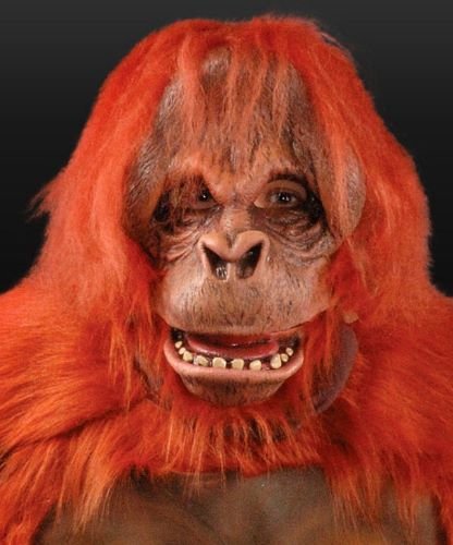 Strój reklamowy - Orangutan