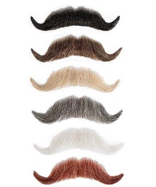 Sztuczne wąsy Wilhelm realistyczny zarost do charakteryzacji dostępne kolory włosów