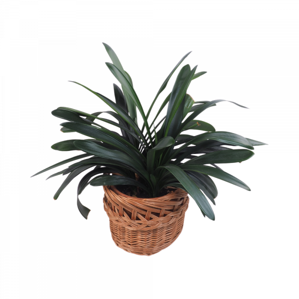 Osłona na donicę Ażurowa Naturalna 32cm - sklep z wiklina - zdjęcie