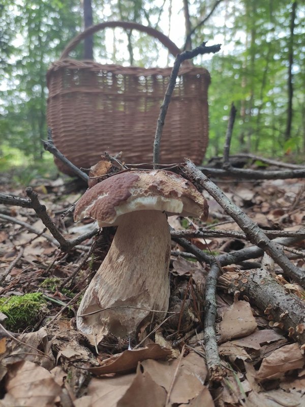 Kosz Prostokąt Naturalny 38cm - Sklep z wiklina - zdjęcie 3
