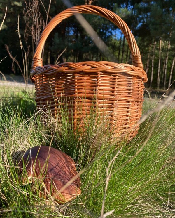 Kosz na zakupy Boler - naturalny - sklep z wiklina - zdjęcie 6