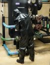 WATERPROOF ACID-LYEPROOF CLOTHING 412