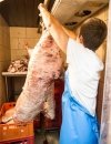 Fartuch dla przemysłu mięsnego