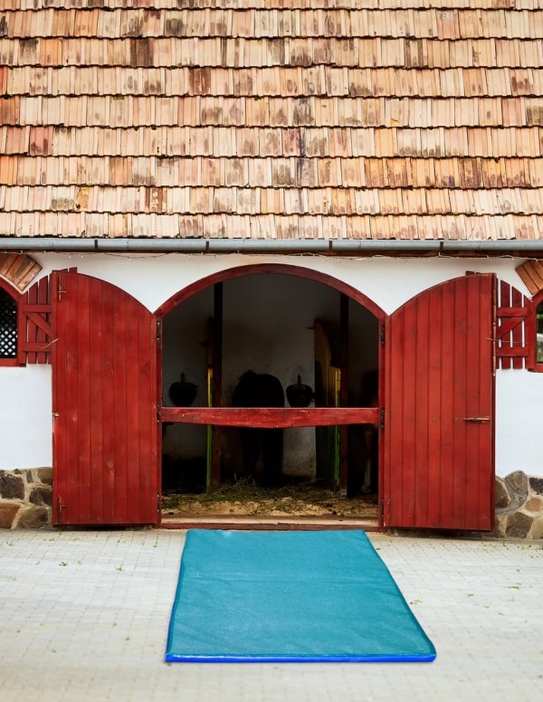 Mata dezynfekcyjna z zamkiem (180x90x4 cm)