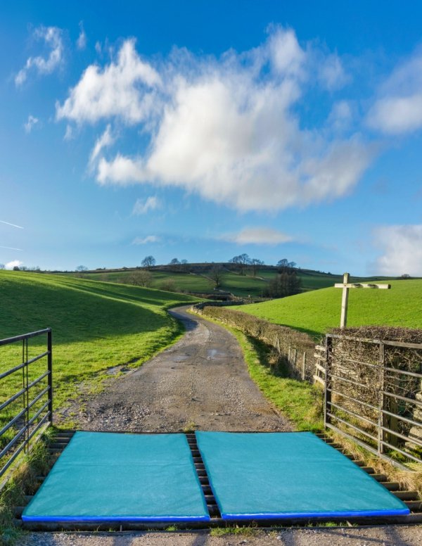 Mata dezynfekcyjna (380x110x4 cm)