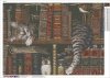 Haft Diamentowy Kot Bibliotekarz 55x75 cm K