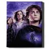 Malowanie Po Numerach Zestaw Harry i Czara Ognia 40x50