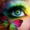 Haft Diamentowy Oko i Motyl