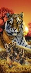 Haft Diamentowy Tygrysia Rodzina 3 50x110 cm