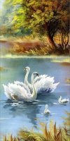 Haft Diamentowy Łabędzia rodzina 45x85 cm