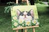 Malowanie Po Numerach Zestaw Kot w Stokrotkach 40x50