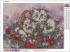 Haft Diamentowy Słodkie Kotki Trzy 35x45 cm K