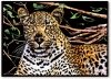 Magiczna Zdrapka Tajemniczy Gepard 40x28 cm 
