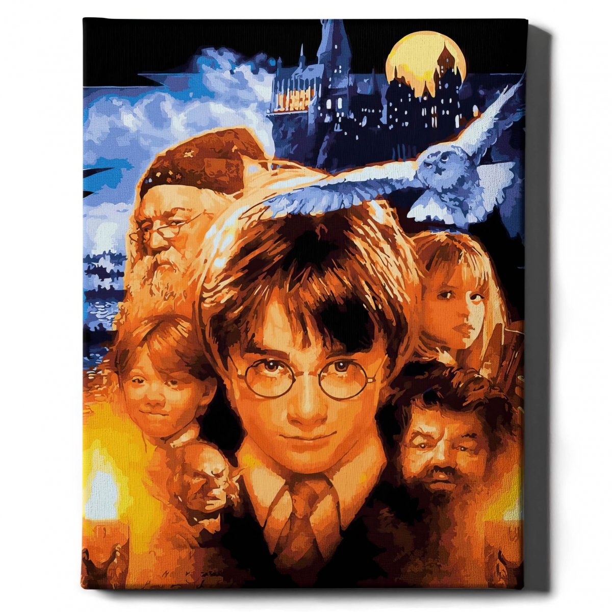 Malowanie Po Numerach Zestaw Rodzina Harry'ego Pottera 40x50