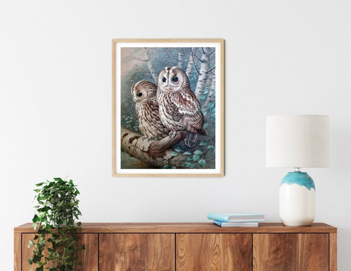 Haft Diamentowy Tajemnicze Sowy 40x50