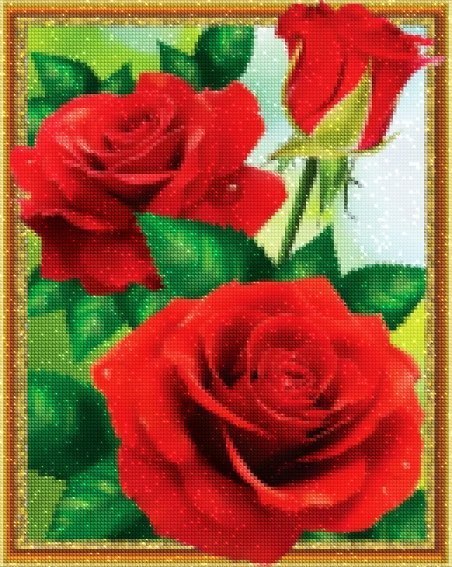Haft Diamentowy Płomienne Róże 40x50