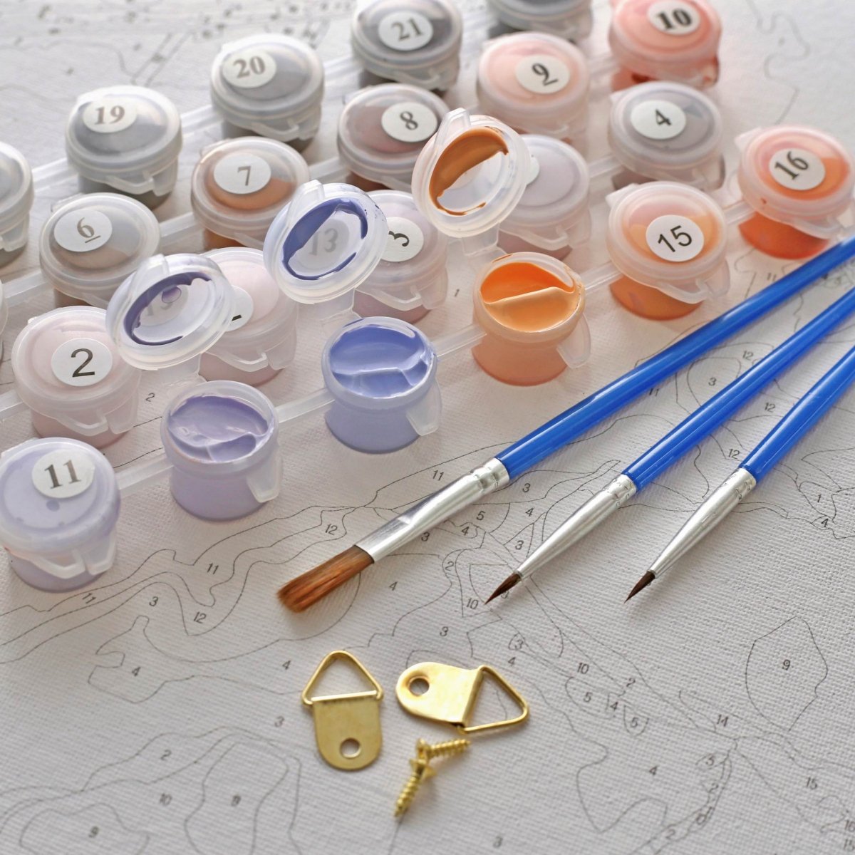 Malowanie Po Numerach Zestaw Zimna Piwonia 40x50 Złota Farba