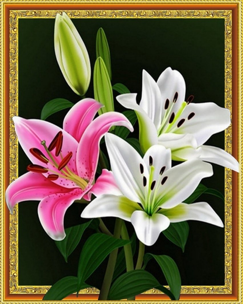 Haft Diamentowy Delikatne Lilie 40x50