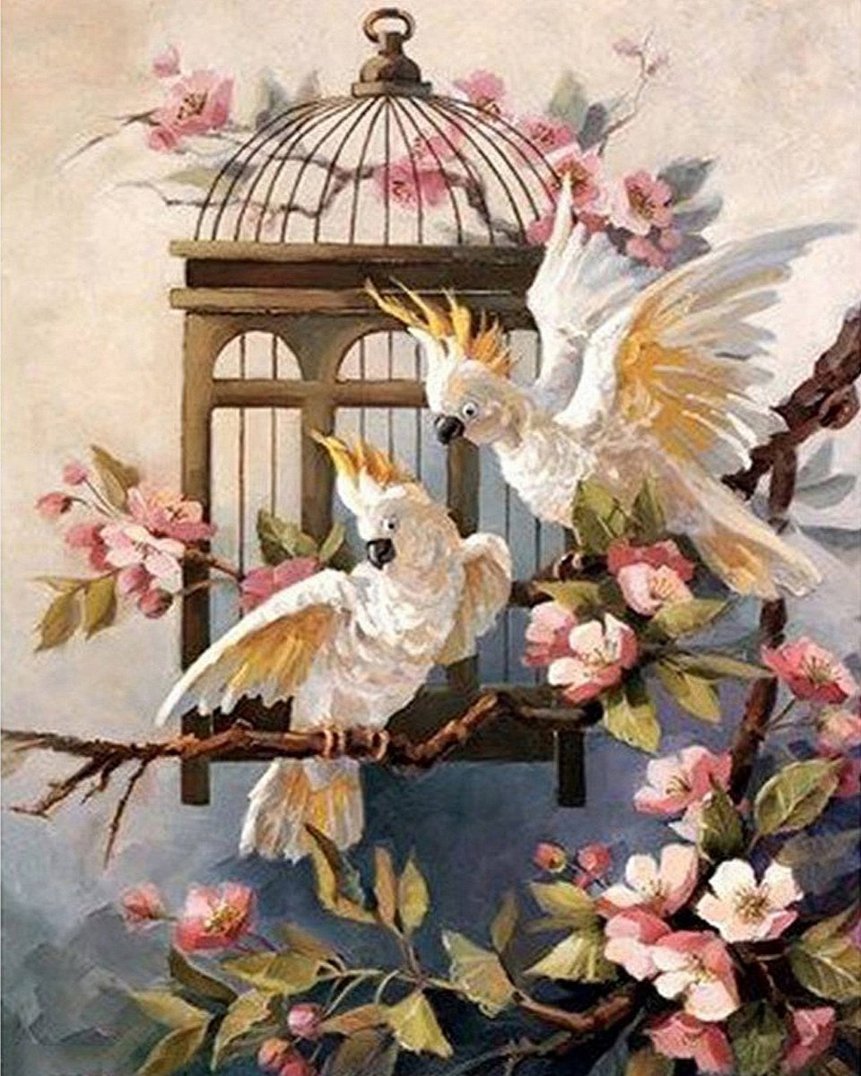 Haft Diamentowy Wesołe Kakadu 55x75 cm