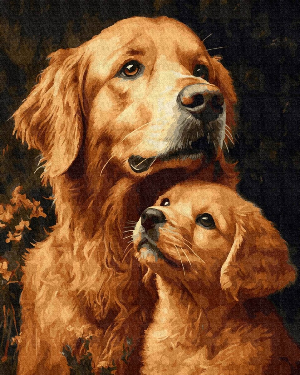Malowanie Po Numerach Zestaw Retriever Duet 40x50 