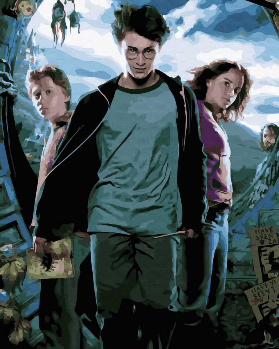 Malowanie Po Numerach Zestaw Harry Potter 40x50