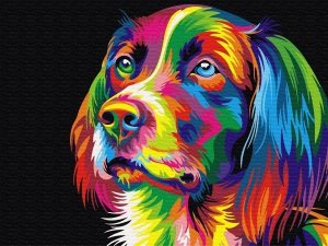 Malowanie Po Numerach Zestaw Tęczowy Pies 40x50