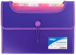 Teczka A4 PP z 6 przekładkami fioletowa Vfile, Strigo