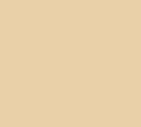 Karton B2 270g 50x70cm chamois nr 45 Happy Color