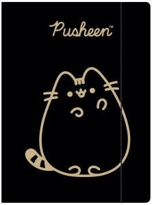 Teczka z gumką A4 300g Pusheen Gold, St.Majewski
