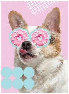 Zeszyt A5 60 k. linia laminowany Funny Dog Unipap, St.Majewski