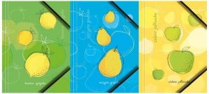 Teczka kartonowa A4 z gumką narożną Owoce BT601-M1, Tetis