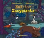 Rok w lesie Zasypianka