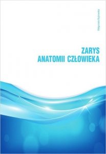 Zarys anatomii człowieka
