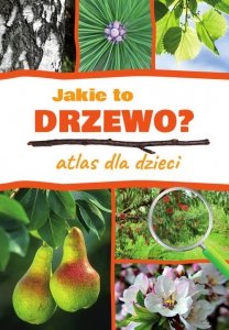 Jakie to drzewo?