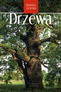 Drzewa Spotkania z przyrodą