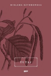 Tutaj