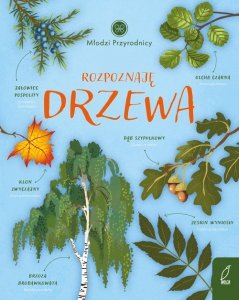 Młodzi przyrodnicy Rozpoznaję drzewa