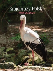 Kalendarz 2025 Ścienny Krajobrazy Polski
