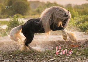 Kalendarz 2025 Albumowy Konie