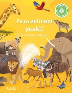 Po co zebrom paski