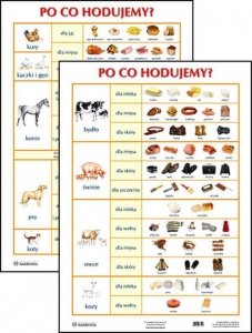 Plansza Po co hodujemy?
