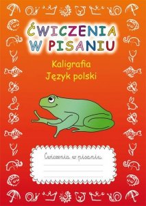 Ćwiczenia w pisaniu Kaligrafia Język polski