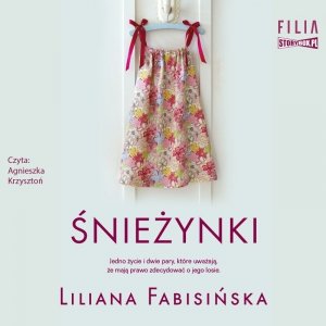 Śnieżynki - audiobook / ebook
