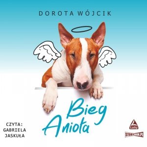 Bieg Anioła - audiobook / ebook