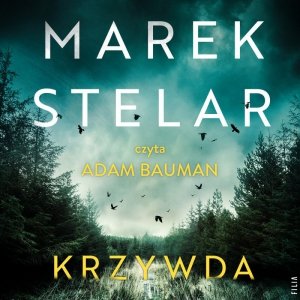 Krzywda - audiobook