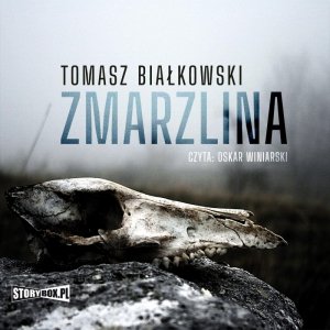 Zmarzlina - audiobook / ebook